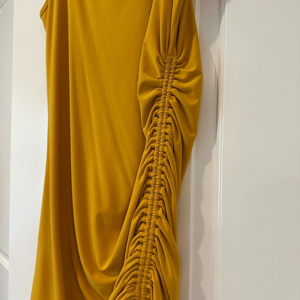 Express Ruched Dress - Picture 2 of 3